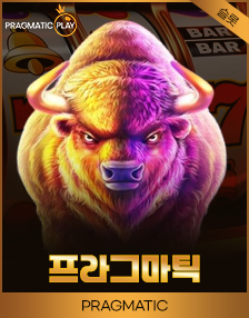 프라그마틱